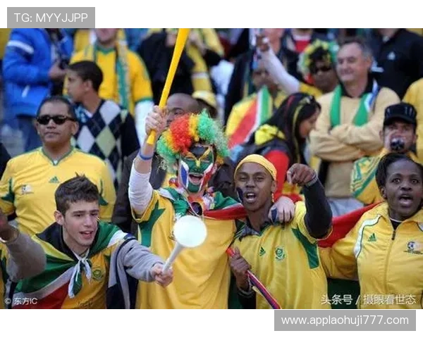 南非对韩国旅行攻略:世界杯期间南非体育文化体验与韩国球迷交流指南